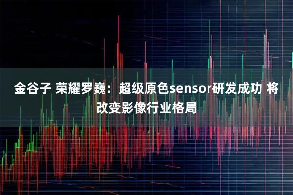 金谷子 荣耀罗巍：超级原色sensor研发成功 将改变影像行业格局